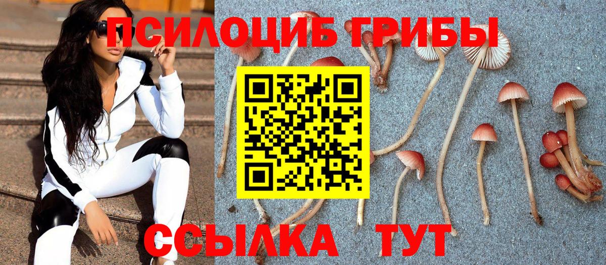 Ростов-на-Дону  Галлюциногенные грибы Magic Shrooms  Псилоцибиновые грибы мицелий  цена наркотик  Вход с VPN 